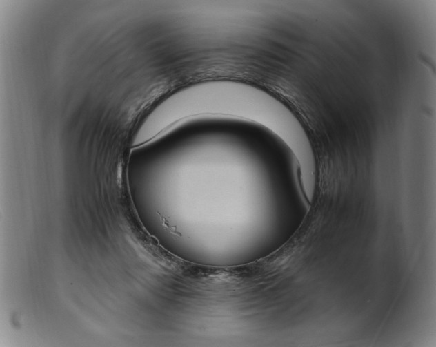 X0000099400310200805221902