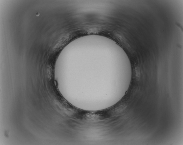 X0000099400311200805221902