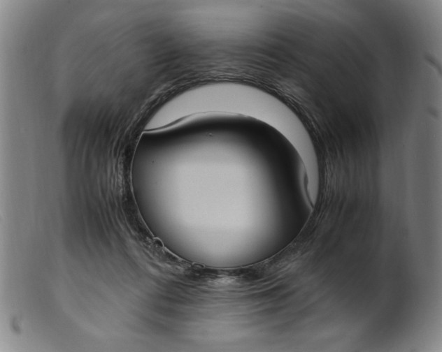 X0000099400312200805221902