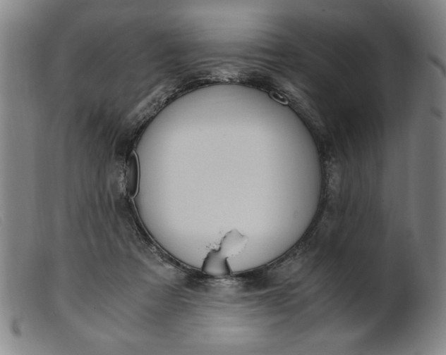 X0000099400313200805221902