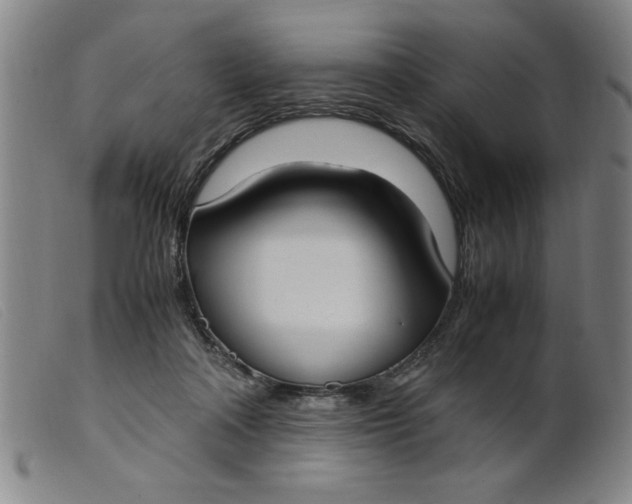 X0000099400314200805221902