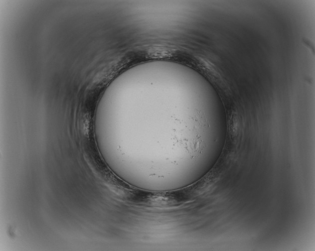 X0000099400315200805221902