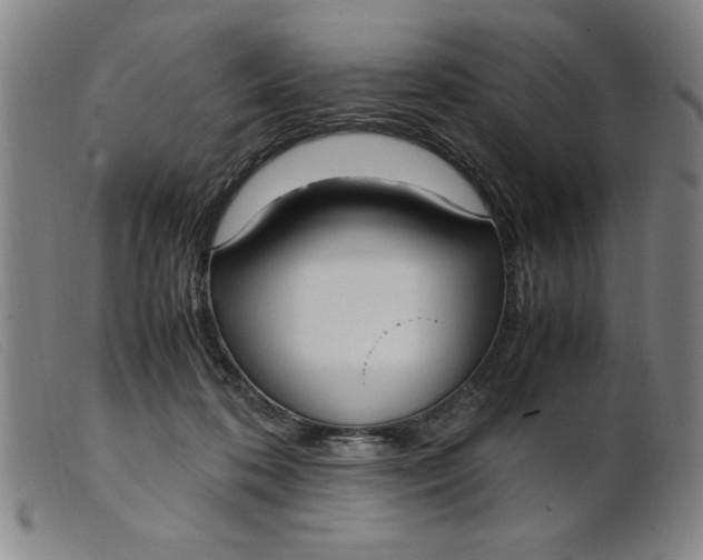 X0000099400316200805221902