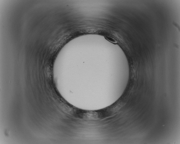 X0000099400317200805221902