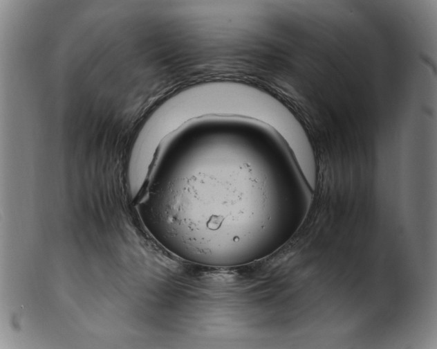 X0000099400318200805221902