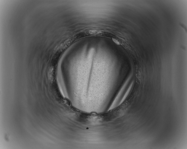 X0000099400319200805221902