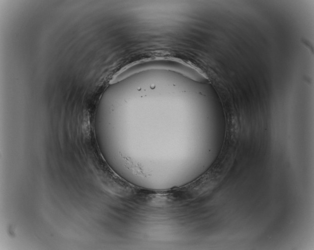 X0000099400320200805221902