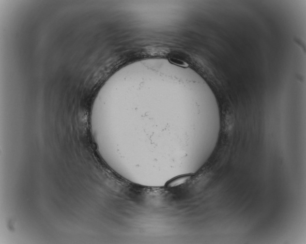 X0000099400321200805221902