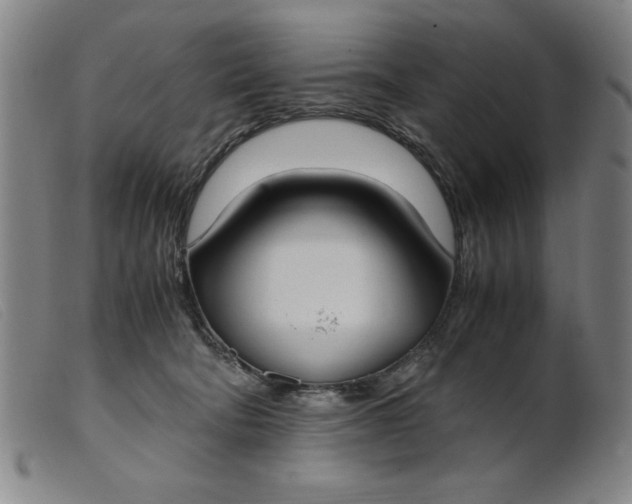 X0000099400322200805221902