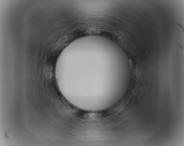 X0000099400323200805221902