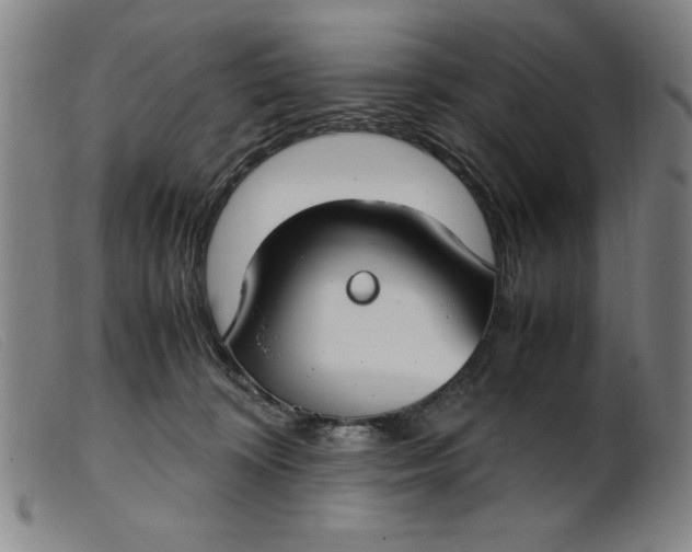 X0000099400324200805221902