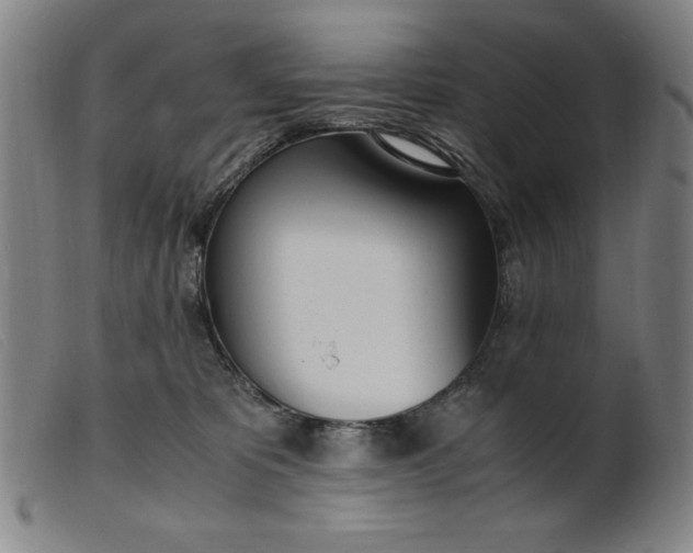 X0000099400325200805221902