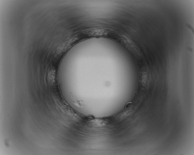 X0000099400326200805221902