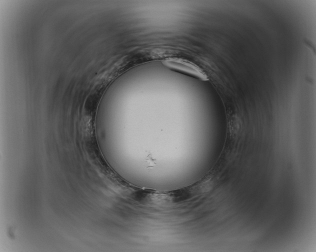 X0000099400327200805221902