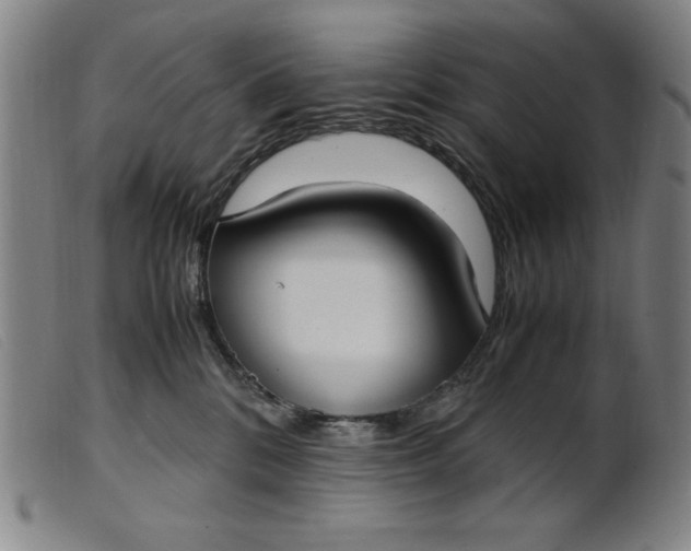 X0000099400328200805221902