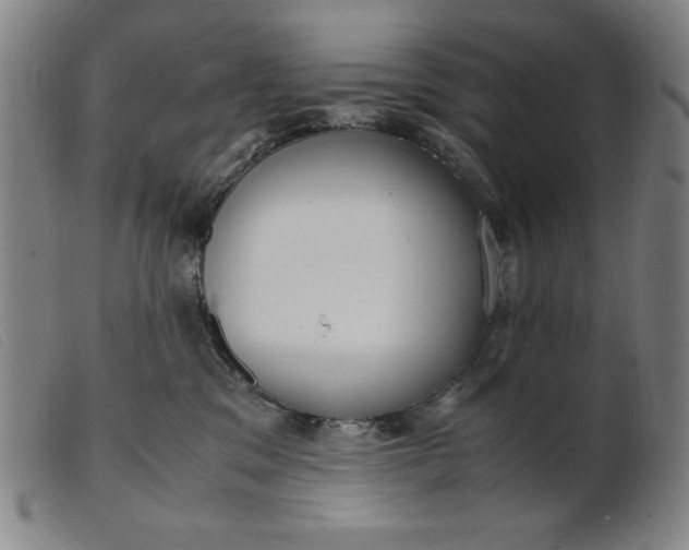 X0000099400329200805221902