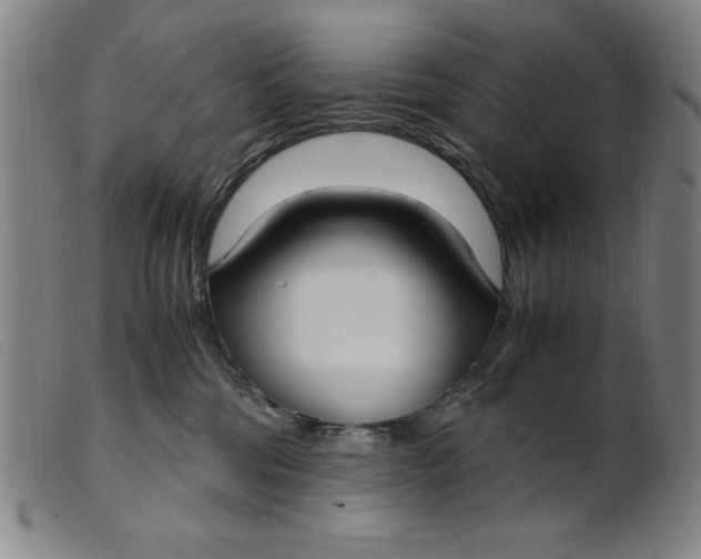 X0000099400330200805221902