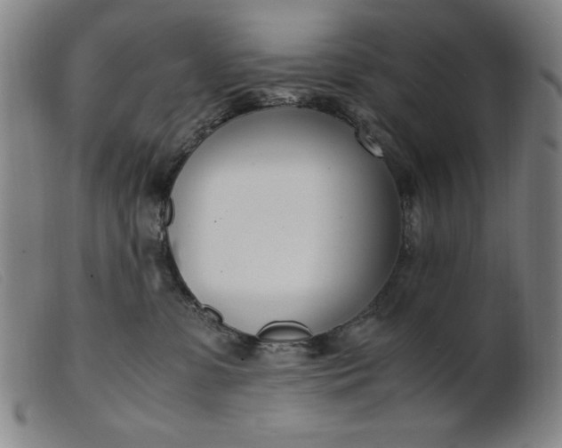 X0000099400331200805221902