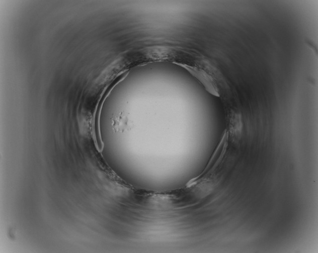 X0000099400332200805221902