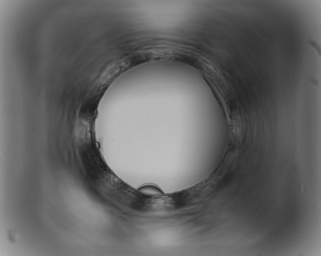 X0000099400333200805221902