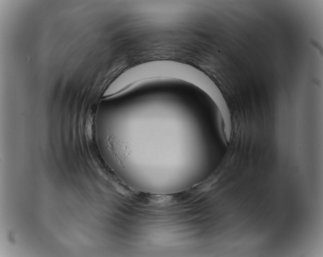 X0000099400334200805221902