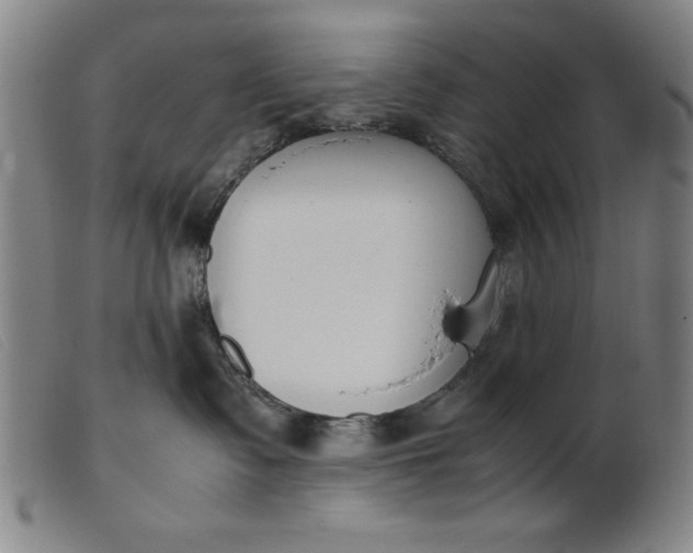 X0000099400335200805221902