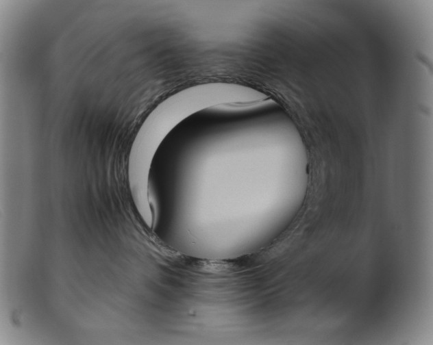 X0000099400336200805221902