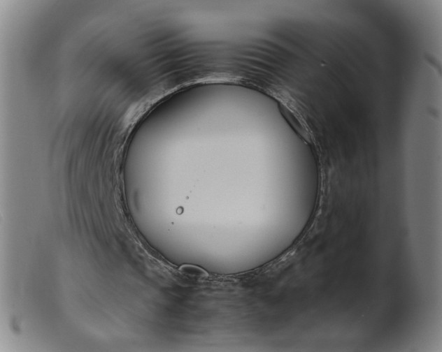 X0000099400337200805221901