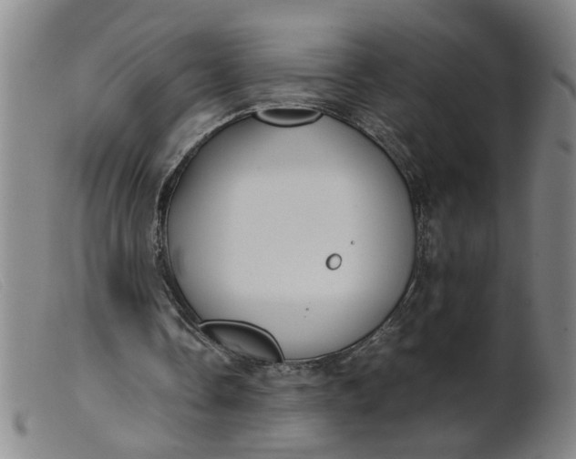 X0000099400338200805221901