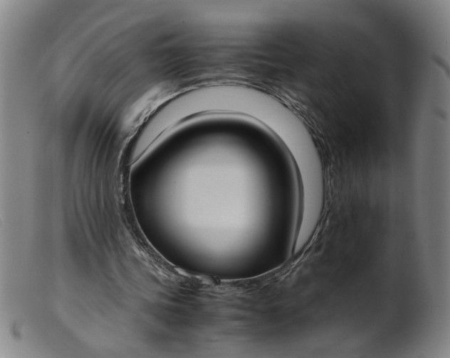 X0000099400339200805221901