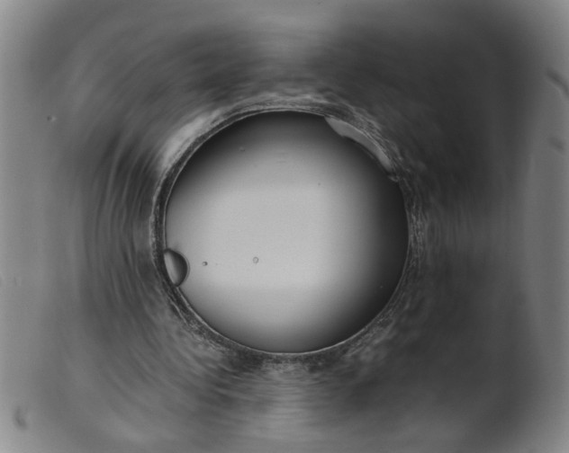 X0000099400340200805221901