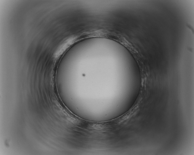 X0000099400341200805221901