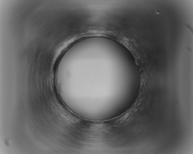 X0000099400342200805221901