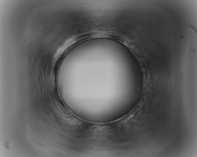 X0000099400343200805221901