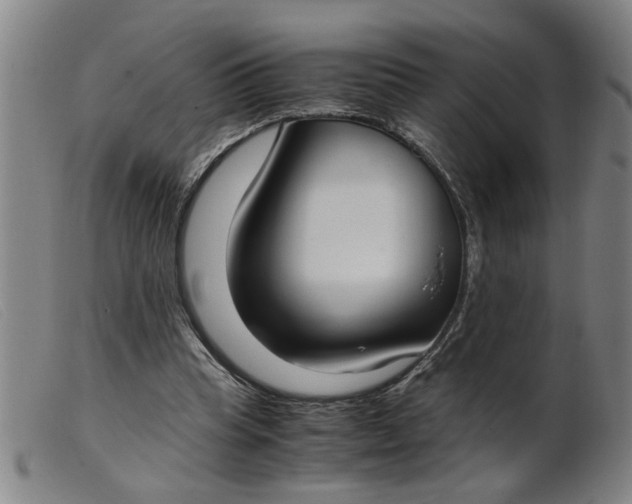 X0000099400345200805221901