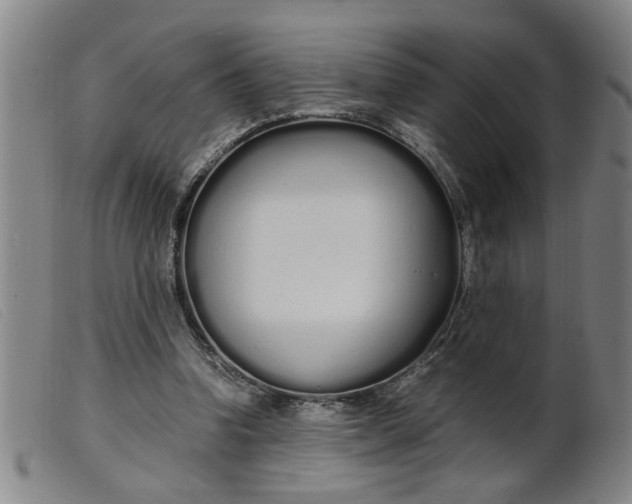 X0000099400346200805221901