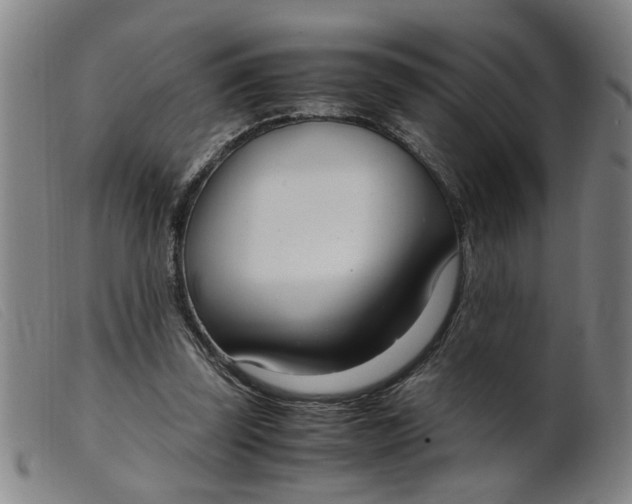 X0000099400347200805221901