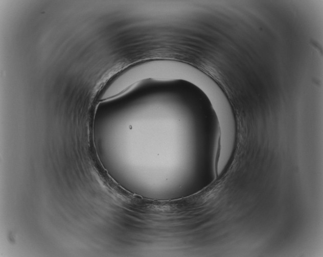 X0000099400349200805221901