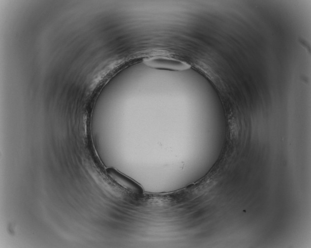 X0000099400350200805221901