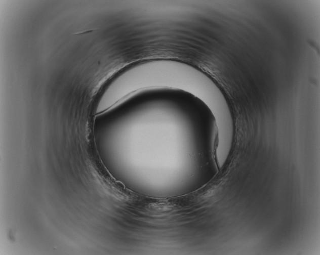 X0000099400351200805221901