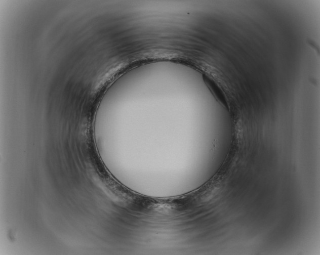 X0000099400352200805221901