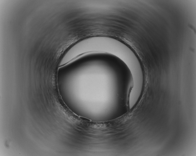 X0000099400353200805221901