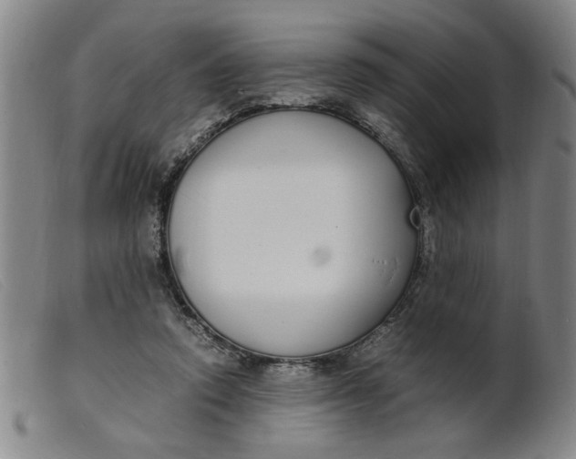 X0000099400354200805221901