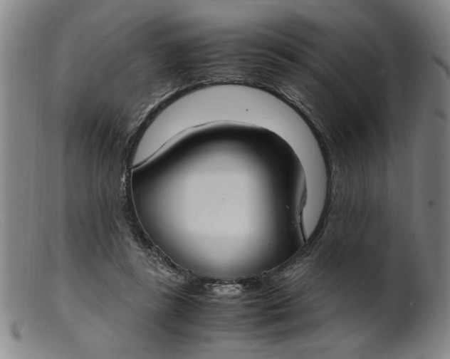 X0000099400355200805221901