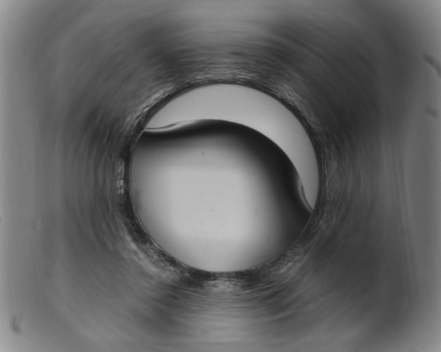 X0000099400356200805221901