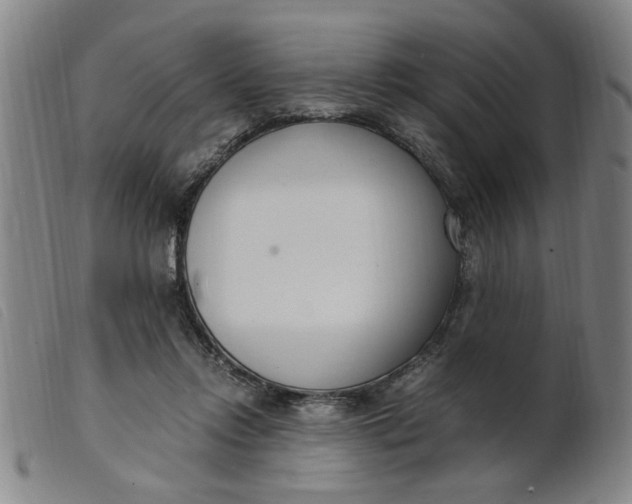 X0000099400358200805221901