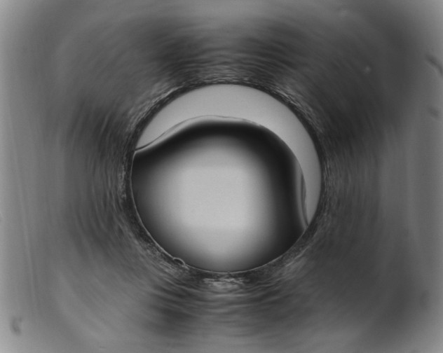 X0000099400359200805221901