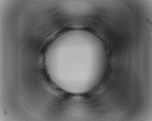 X0000099400360200805221901