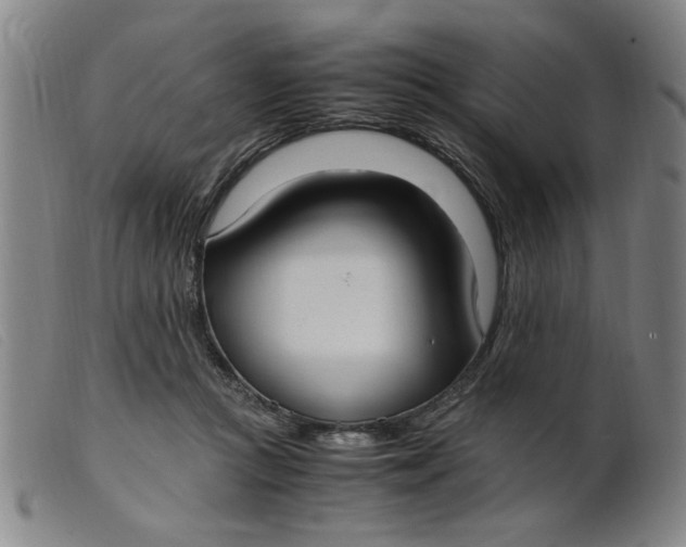 X0000099400361200805221901