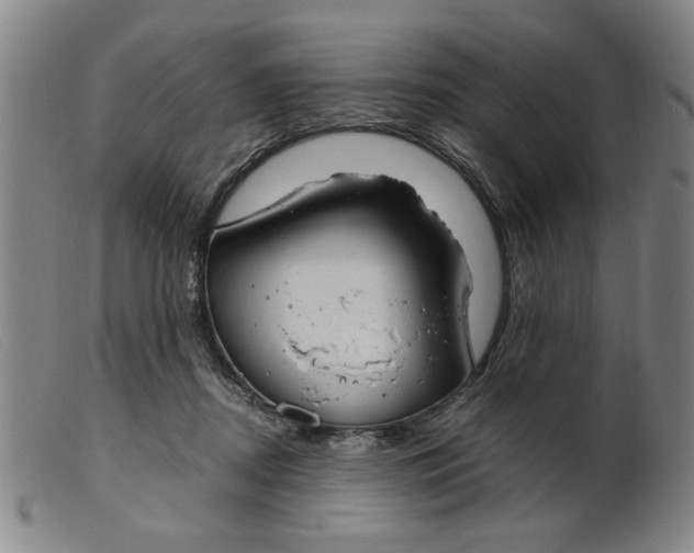 X0000099400362200805221901